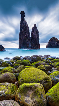 Reef coast