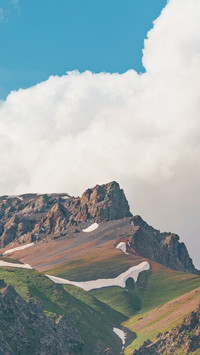 Summer wilderness