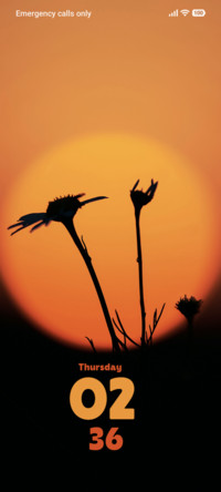 Vibrant Sunset