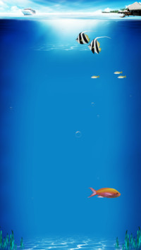 海底世界