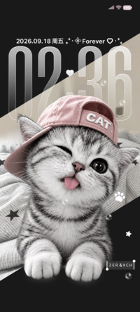 3D重感 小猫的心