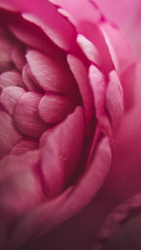 Macro  (13)