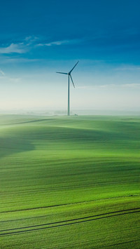 Wonderful foggy green field at sunrise in Europe