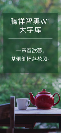 腾祥智黑W1大字库