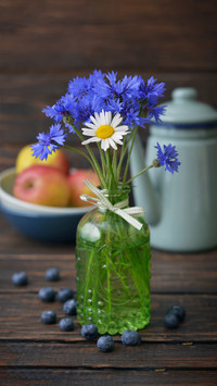 Key points of flower material treatment before flower arrang