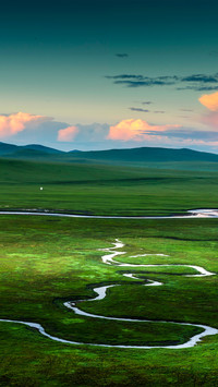 The snake on the grassland bends at sunrise