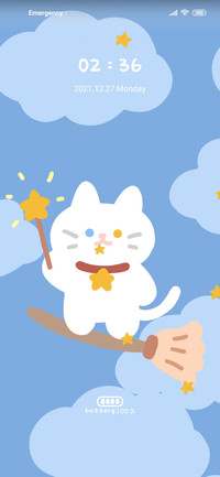 Cute magic cat