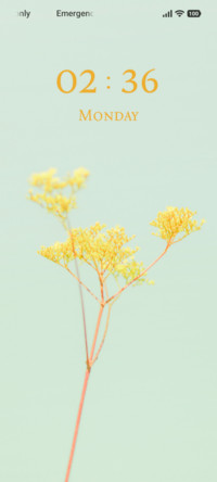 Soft Stem