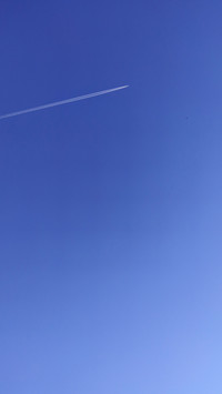 landing-1396