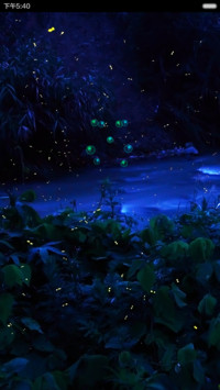 夜的美（梦幻泡泡特效）