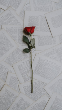 Roses and Lilacs (15)