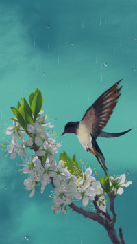 蜂鸟