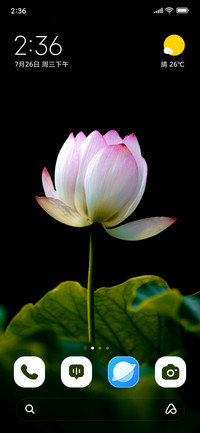 Petal Charm