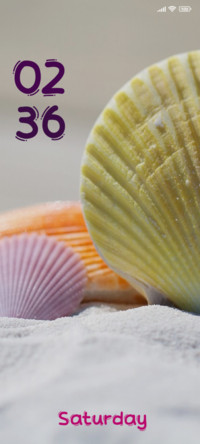 Shell