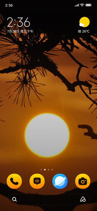 Branch Silhouette