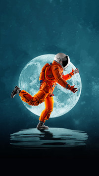 Fly through the universe