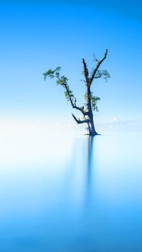 静谧沙巴