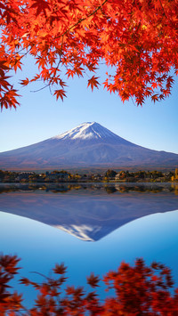 Mount fuji which cannot be privately owned