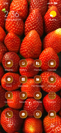 Strawberry
