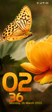 nature butterfly