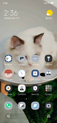 Lazy Cat
