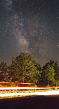 Nature HD - 2020-06-02T124236.950