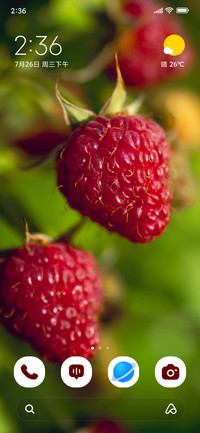 Berry Duo