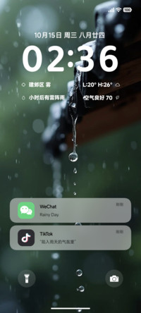 AP简约雨境