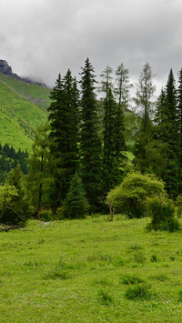 A cool walk in the green fields of shuangqiao valley