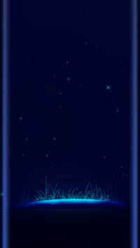 仲夏夜之梦