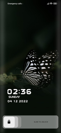 Wings
