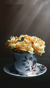 Beautiful bouquet of roses is in a tea Cup