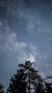 star (12)
