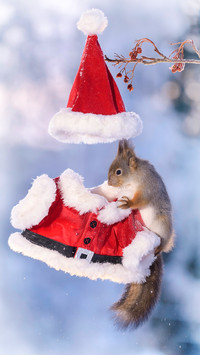 Cute mammals unmanned