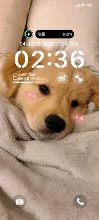 是你的汪星人