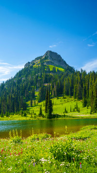 Who could not love the scenery of lake tipusu