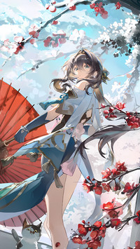 崩铁阮梅和梅花的羁绊