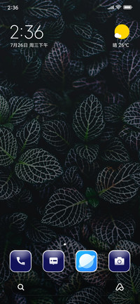 Floral Leaves