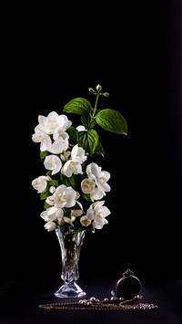 Still Life with Jasmine flowers in a vase
