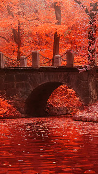 Autumn Art Painting