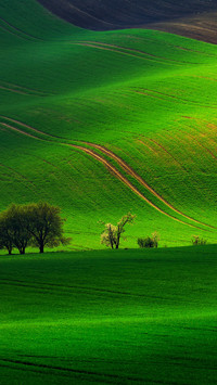 Green landscape scenery