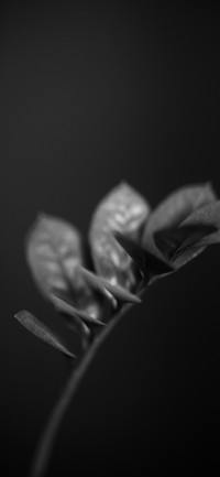 幽深黑色-拍信图库