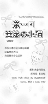 亲一口笨笨的小猫