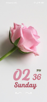rosee
