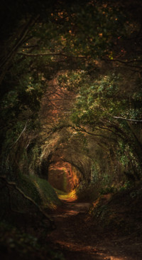 Fantasy World  (4)