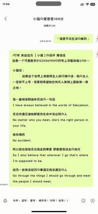 喵是平淡生活的解药