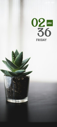 Minimal Plant