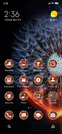fire dandelion