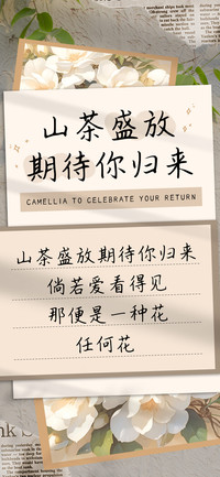 山茶盛放期待你归来