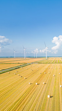 Harvested grain field in North Friesland